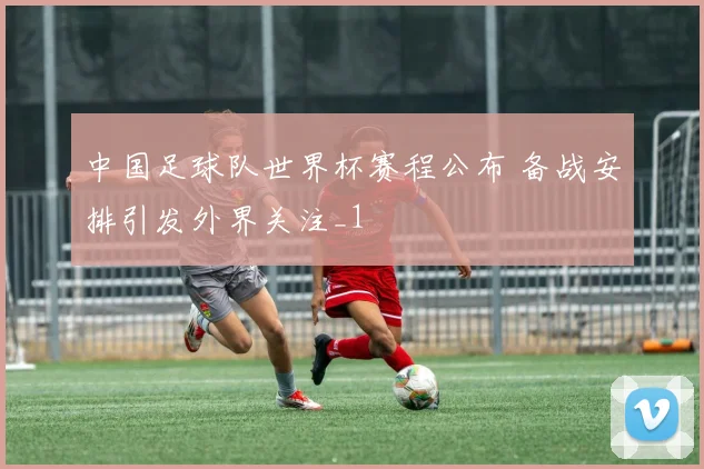 中国足球队世界杯赛程公布 备战安排引发外界关注_1